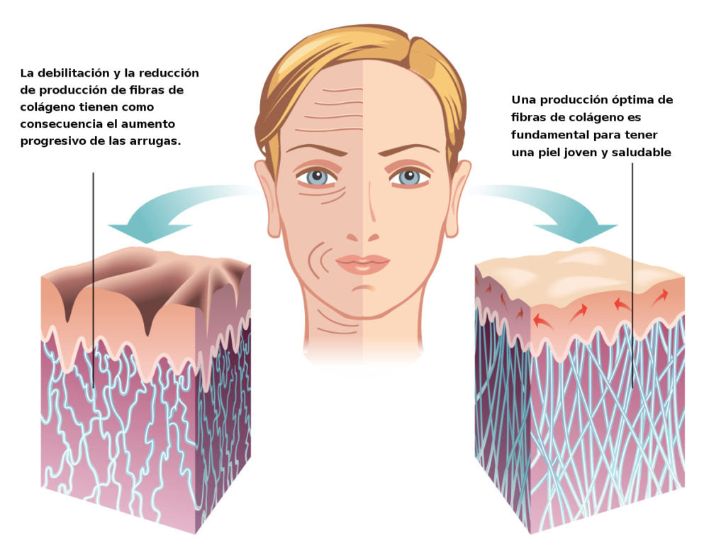 🤩PASTILLAS DE COLÁGENO SABOR UVA🤩